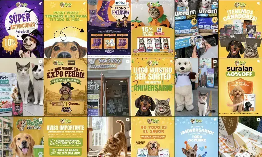 Feed de Instagram de Brisa Pet Shop diseñado por Pixie