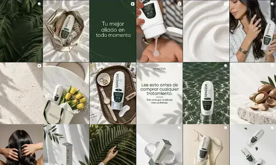 Feed de Instagram de Senzzia diseñado por Pixie